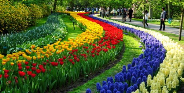 Holambra + Expoflora 2025! (Pacote completo) - Imagem 12
