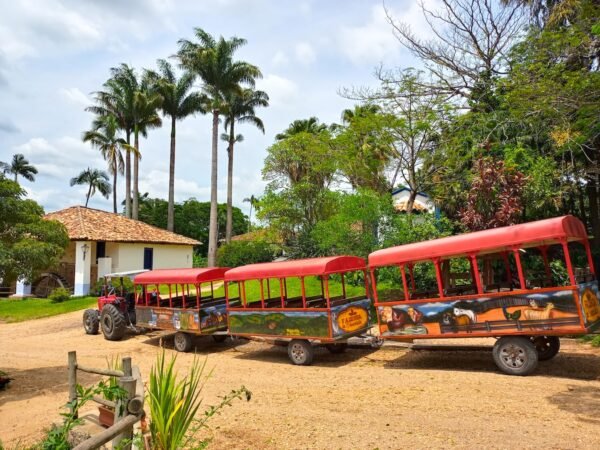 🎁 Pacote Promo Easy — ITU + SALTO | PARQUE DOS DINOSSAUROS | FAZENDA DO CHOCOLATE + CITY TOUR COMPLETO - Imagem 25