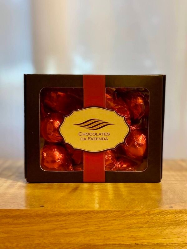 🎁 Pacote Promo Easy — ITU + SALTO | PARQUE DOS DINOSSAUROS | FAZENDA DO CHOCOLATE + CITY TOUR COMPLETO - Imagem 22