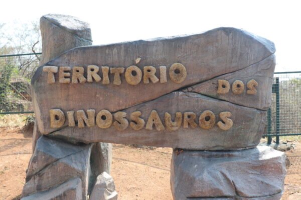 🎁 Pacote Promo Easy — ITU + SALTO | PARQUE DOS DINOSSAUROS | FAZENDA DO CHOCOLATE + CITY TOUR COMPLETO - Imagem 4