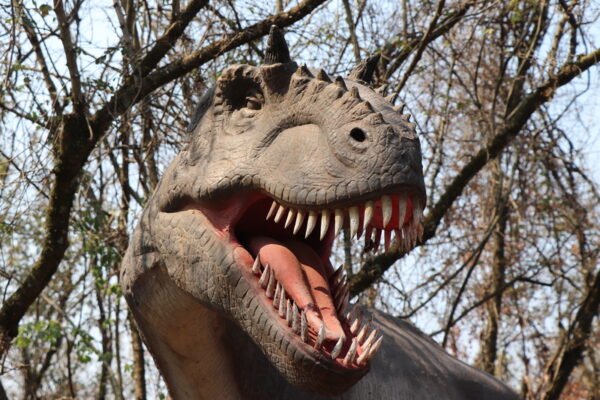 🎁 Pacote Promo Easy — ITU + SALTO | PARQUE DOS DINOSSAUROS | FAZENDA DO CHOCOLATE + CITY TOUR COMPLETO - Imagem 5