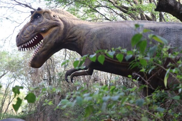 🎁 Pacote Promo Easy — ITU + SALTO | PARQUE DOS DINOSSAUROS | FAZENDA DO CHOCOLATE + CITY TOUR COMPLETO - Imagem 6