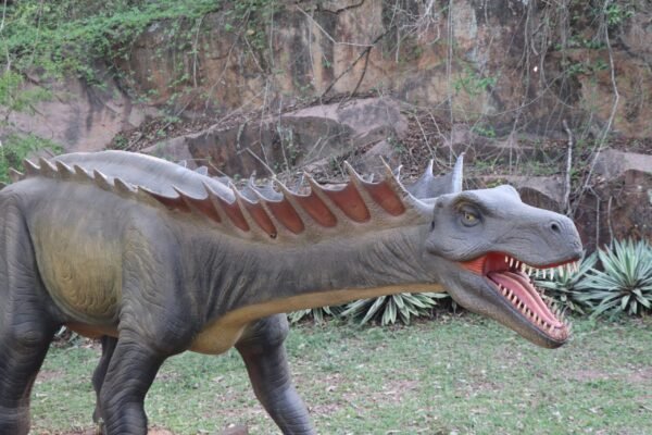🎁 Pacote Promo Easy — ITU + SALTO | PARQUE DOS DINOSSAUROS | FAZENDA DO CHOCOLATE + CITY TOUR COMPLETO - Imagem 7