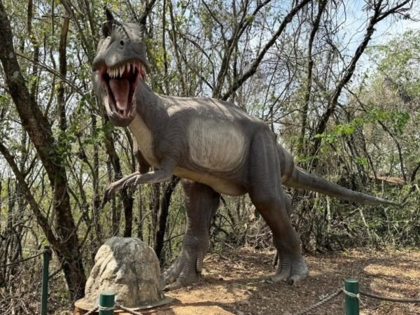 🎁 Pacote Promo Easy — ITU + SALTO | PARQUE DOS DINOSSAUROS | FAZENDA DO CHOCOLATE + CITY TOUR COMPLETO - Imagem 10